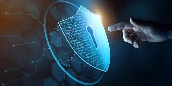 Document Organization